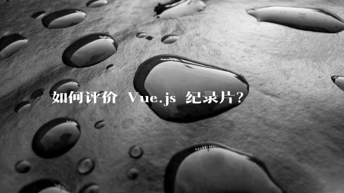 如何评价 Vue.js 纪录片？